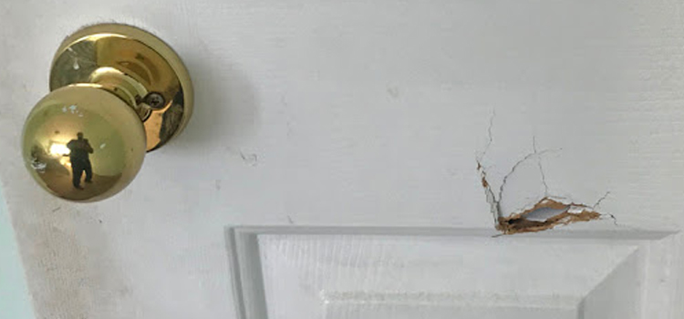 interior door hole repair California City